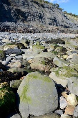 斬魔(回歸服)解析:你需要了解的重要角色!